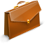 Case